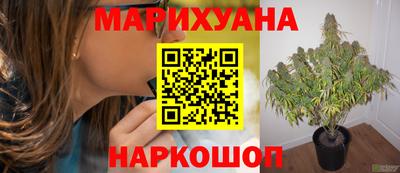 тгк Сланцы